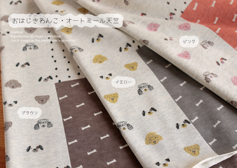 オートミール天竺 おはじきわんこ