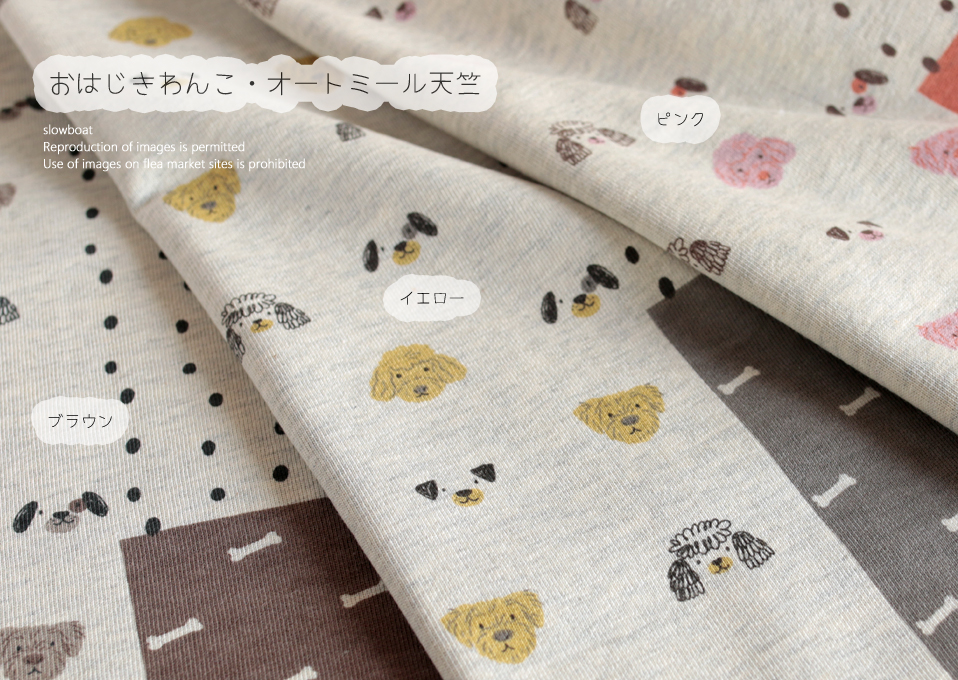 オートミール天竺 おはじきわんこ