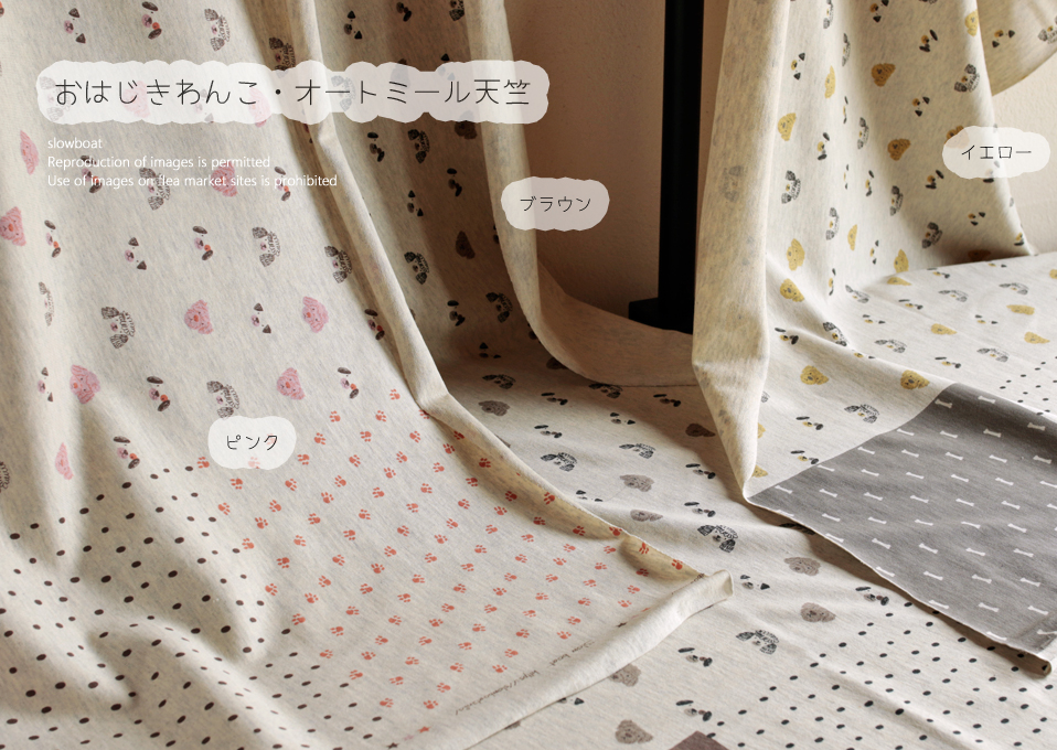 オートミール天竺 おはじきわんこ