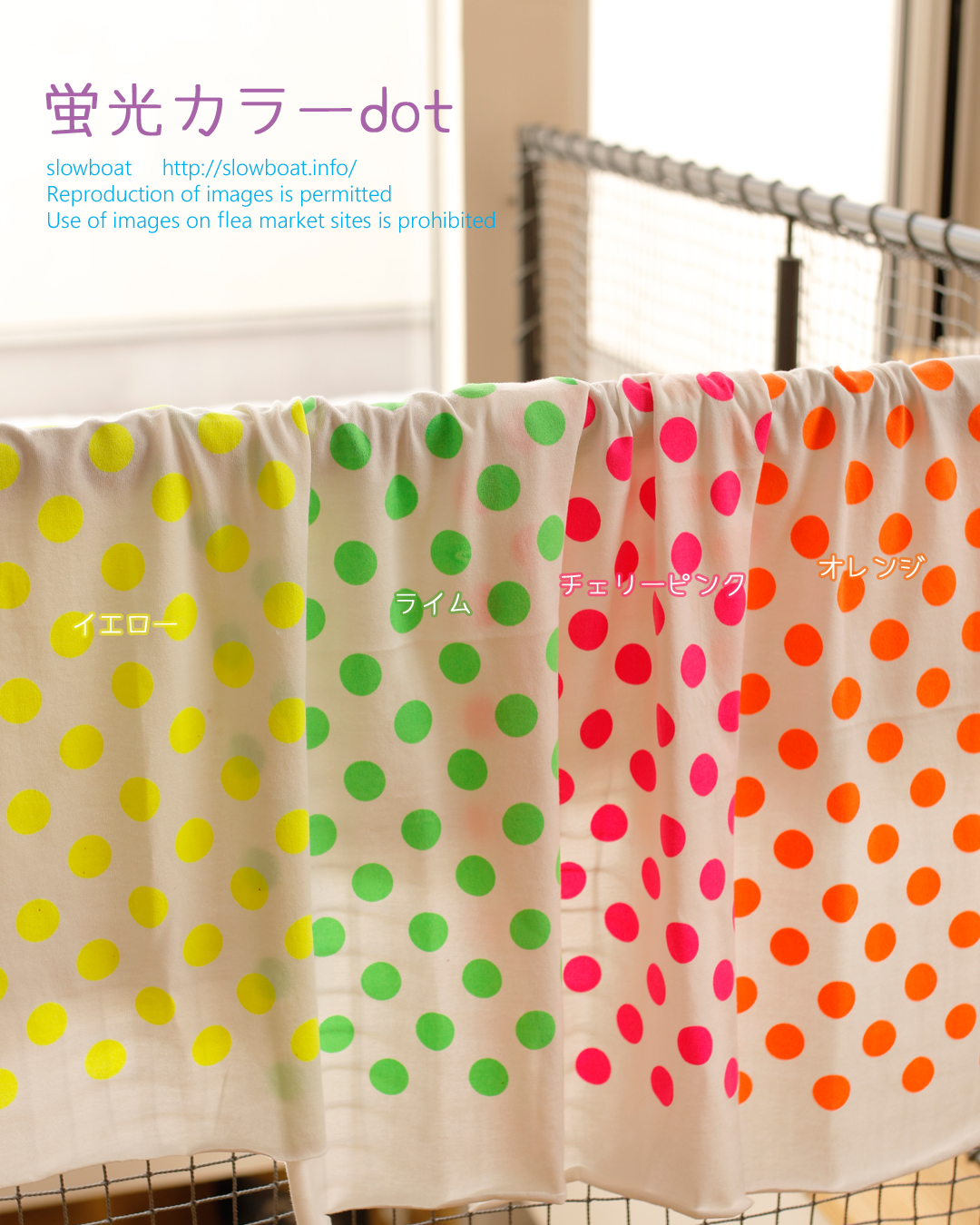 蛍光カラーdot