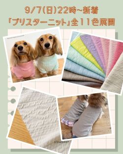 ブリスター