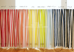 ミニ裏毛 ペンギンボーダー【ブラック】