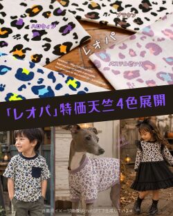 特価 天竺 レオパ